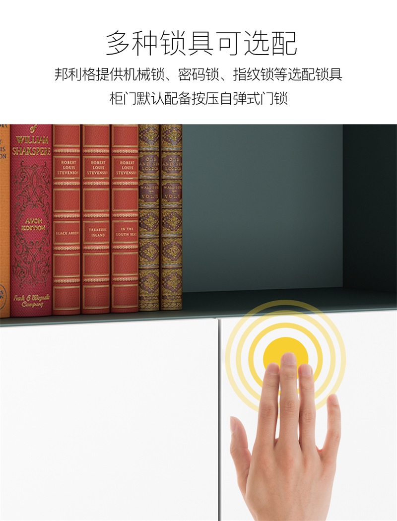 板式文件柜WJG-25细节图